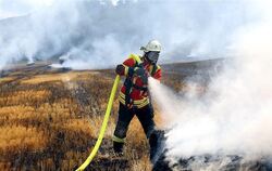 Flächenbrand auf der Alb