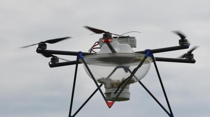 Drohnen werden immer billiger und populärer - deshalb häufen sich Zwischenfälle mit Flugzeugen und Autos. Foto: Patrick Seege