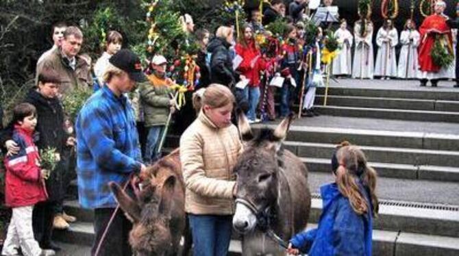 Zwei lammfromme Eselinnen, Kinder mit bunt geschmückten Palmbäumen: Auftakt zur Prozession. GEA-FOTO: HD