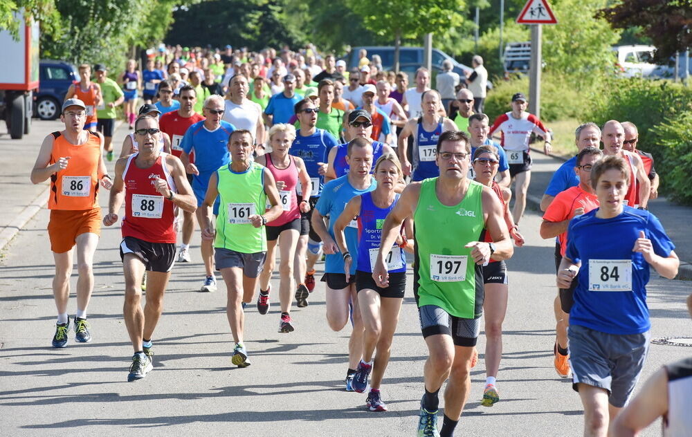 Kusterdinger Hornissenlauf 2015