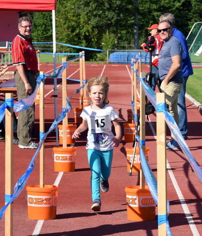 Kusterdinger Hornissenlauf 2015