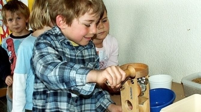 Das kostet ganz schön Muskelkraft: Erpfinger Grundschüler durften gestern ihre Haferflocken selber pressen.  FOTO: LEIPPERT