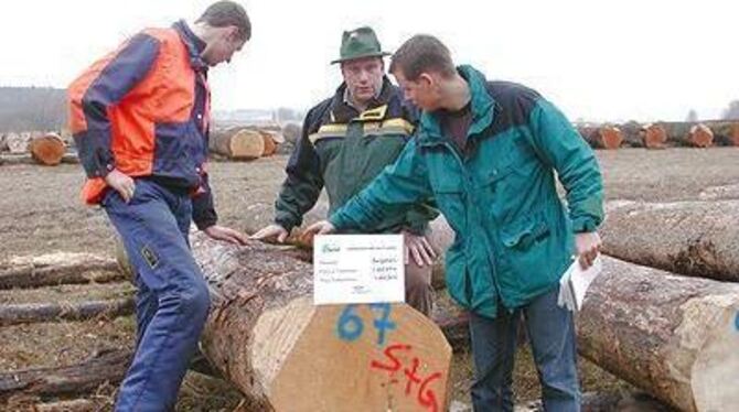 Die Wald- und Forstmitarbeiter informierten sich über die Qualität der Reutlinger Hölzer. FOTO: FORRO