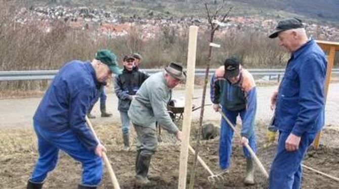 Ein Stück Kirschenheimat: Baumpflanzaktion in Dettingen.  FOTO: MAR