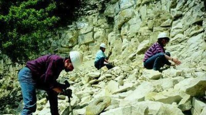 Die Menschen wollen Erlebnisse - der Geo-Park Schwäbische Alb bietet sie. FOTO: PR