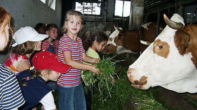 Was als Modell ausläuft, führen Kindergärten, Schulen und Landwirte in Eigenregie weiter: Zum Ursprung von Lebensmitteln. FOTO: