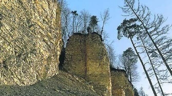 Naturphänomen mit Anziehungskraft: Der Mössinger Bergrutsch. 
FOTO: DIETER