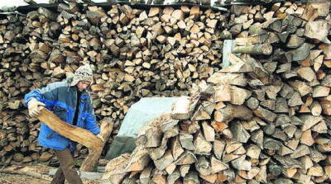 Allein im Kreis Reutlingen könnten 100000 Haushalte mit Brennholz versorgt werden. 
FOTO: DPA