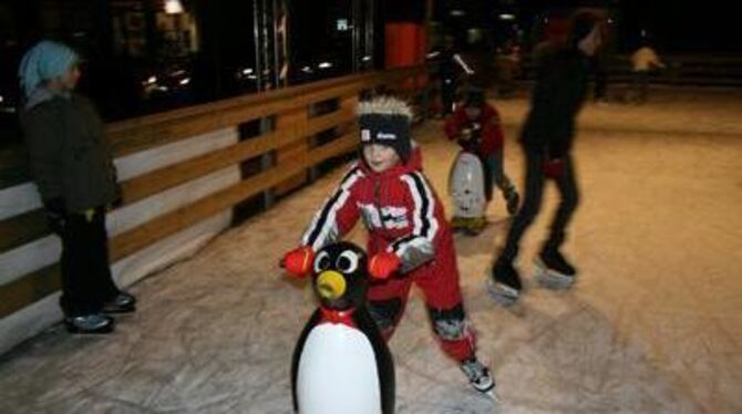 Der Pinguin hilft bei den ersten, noch etwas wackeligen, Schritten auf Schlittschuhen auf der Eislaufbahn am Albtorplatz.  FOTO: