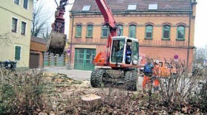 Tabula rasa: Die Stadt ließ gestern abholzen, um die geplante Zufahrt zum Hof hinter der Alten Feuerwache und dem Rall-Neubau in