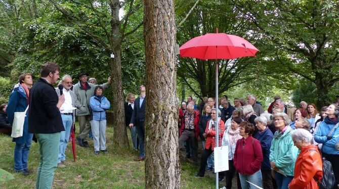 Florian Rogge trägt unter den Ginkgos Goethes Gedicht über diesen besonderen Baum vor, hinter ihm Alexandra Kehl, daneben – mit