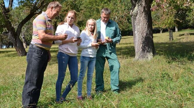 Verorten einen der wohl letzten Vertreter einer Sorte mit dem Namen Ochsenherzbirne: Manfred Wolf, Anna und Paula sowie Sven Hag