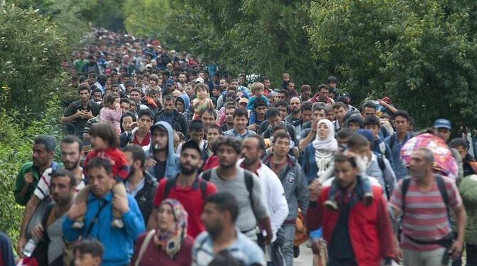 Diese Menschen schafften es noch gerade vor der Schließung des Grenzzaunes auf ungarisches Gebiet. Foto: Csaba Krizsan