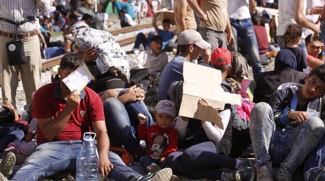 Migranten warten an der Grenze zwischen Kroatien und Sebien auf ihre Registrierung. Foto: Antonio Bat