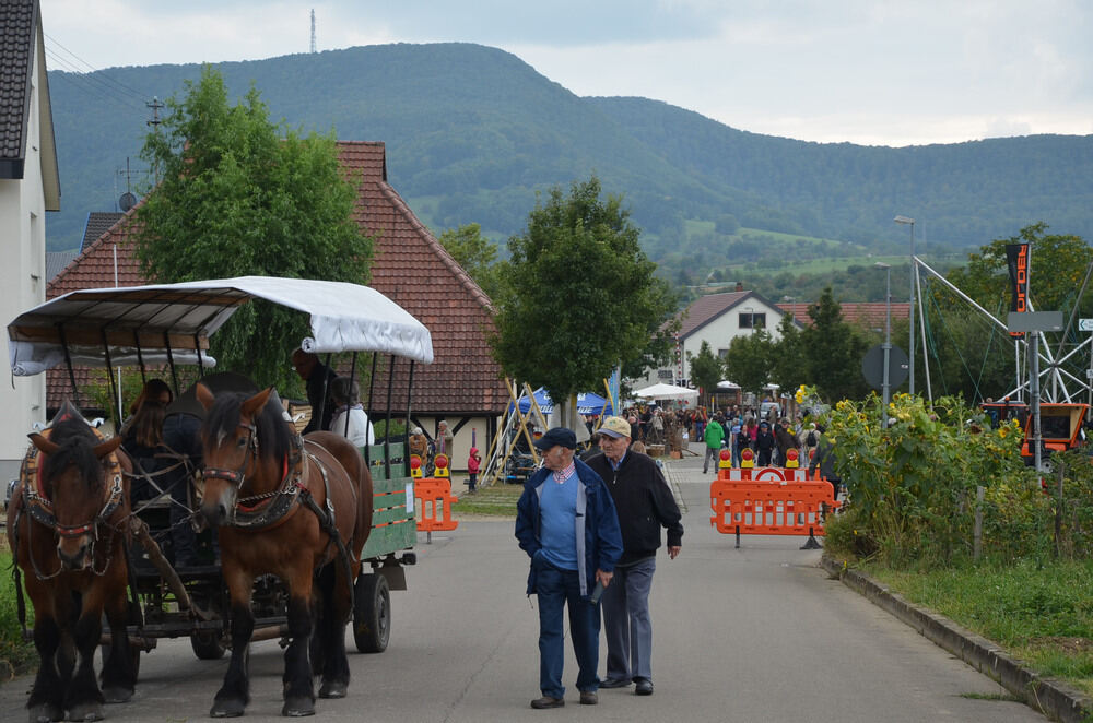 Eröffnung Weinerlebnisweg Metzingen