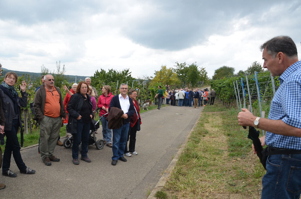 Eröffnung Weinerlebnisweg Metzingen