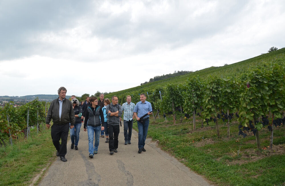 Eröffnung Weinerlebnisweg Metzingen