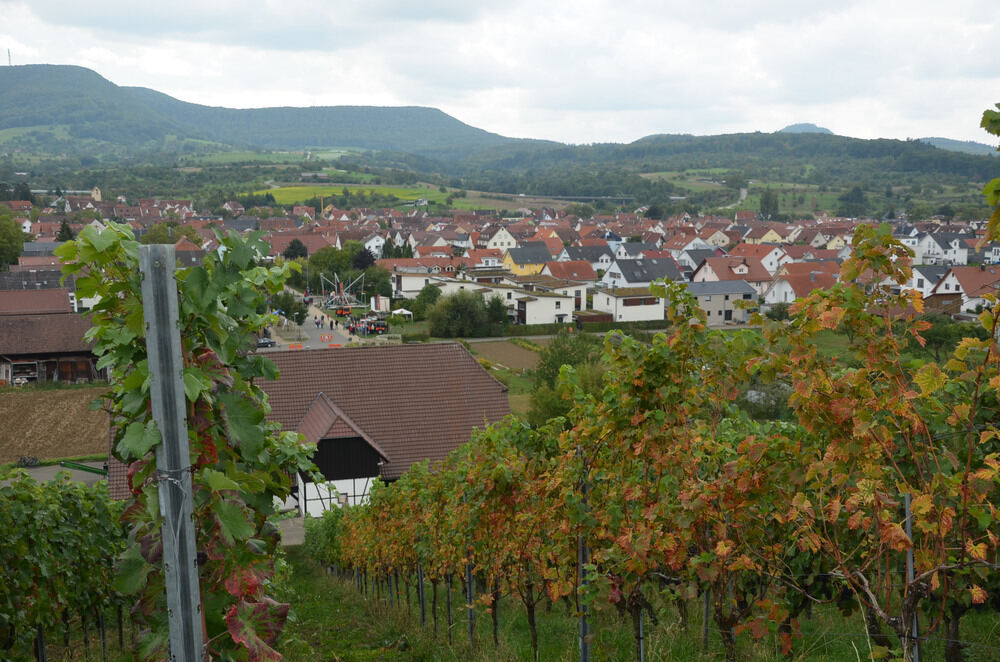 Eröffnung Weinerlebnisweg Metzingen