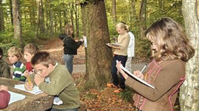 Ist der Wald wirklich still und stumm? Hauptschüler hören ganz genau hin und skizzieren ihre Eindrücke als Hör-Bilder. FOTO: NIE