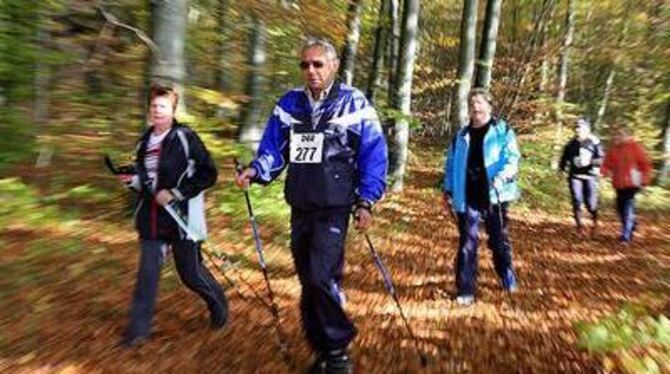 Forsch, aber entspannt durch den herbstlichen Wald: Der Trochtelfinger Stöckles-Cup lockte mehr als 800 Teilnehmer. FOTO: BAIER