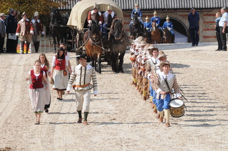 Hengstparade Marbach September 2015