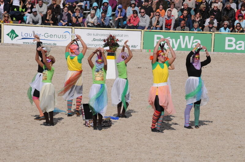 Hengstparade Marbach September 2015