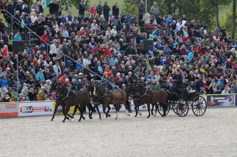 Hengstparade Marbach September 2015