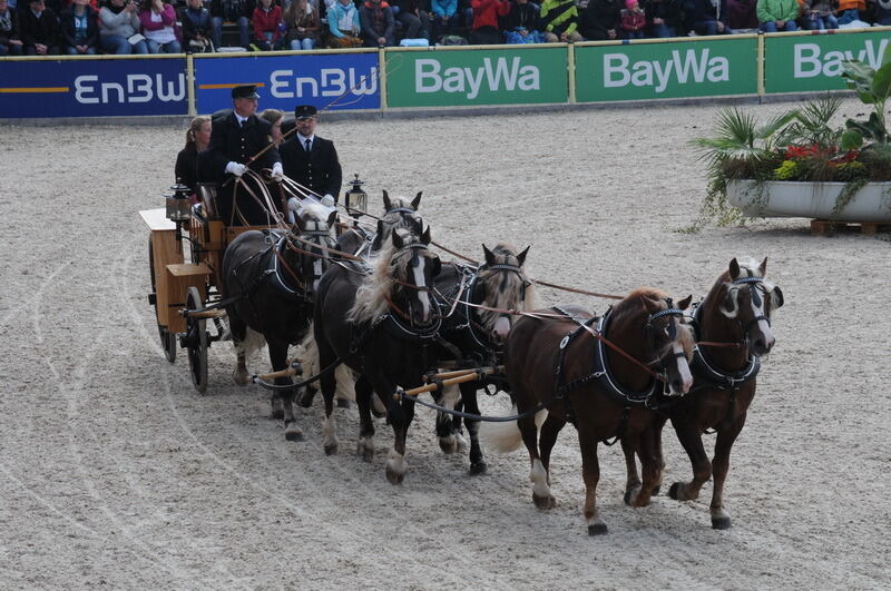 Hengstparade Marbach September 2015