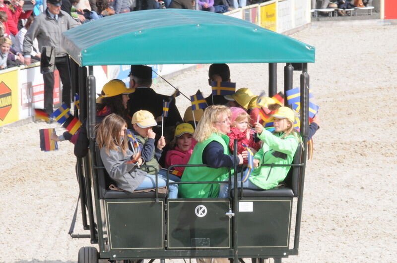 Hengstparade Marbach September 2015