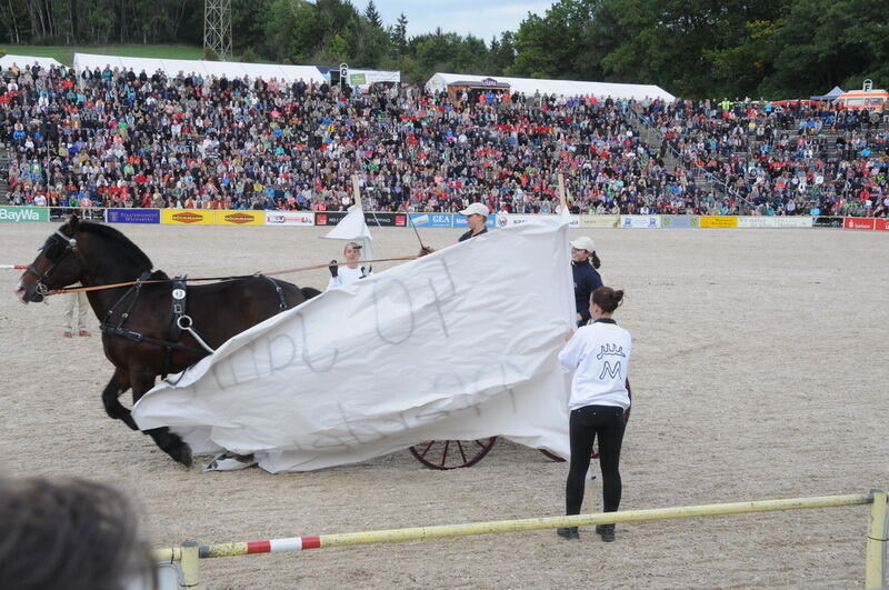 Hengstparade Marbach September 2015