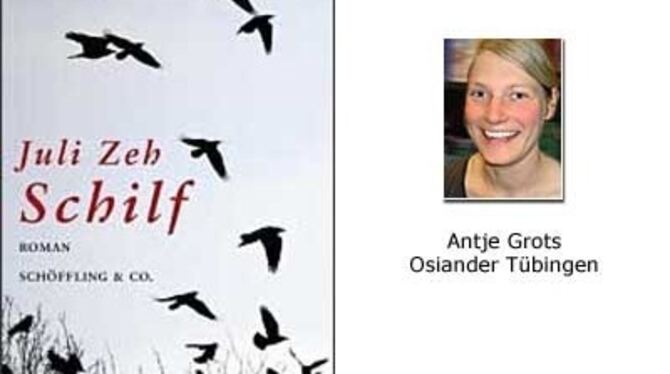 Buchtipp von  Antje Grots, Mitarbeiterin der Osianderschen Buchhandlung in Tübingen: »Schilf«