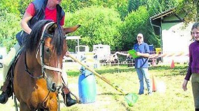 Mensch und Pferd mussten Geschicklichkeit beweisen.
FOTO: LEIPPERT