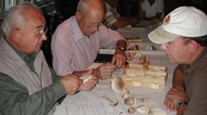 Gut beraten vor dem Braten (von links): Peter Hausmann und Günter Schmidt wissen, welcher Pilz in die Pfanne gehört. FOTO: ROE