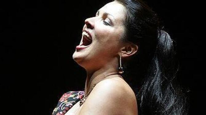 Die Starsopranistin Anna Netrebko singt zusammen mit Ramón Vargas auf dem Stuttgarter Schlossplatz. 
FOTO: DPA