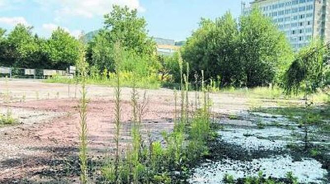 Unerwünschter &raquo;Grünbereich&laquo;: das ehemalige Max-Moritz-Gelände am östlichen Ortseingang von Reutlingen. 
FOTO: NIETHA