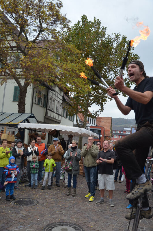 Kunsthandwerkermarkt in Dettingen 2015