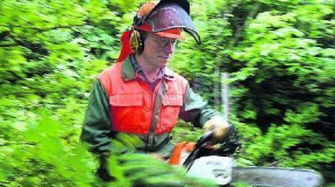 Vorarbeiter Hubert Klingenstein lichtet mit der Motorsäge die wuchernde Vegetation, damit auf dem Trochtelfinger Klammberg wiede