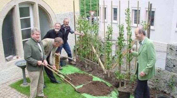 Vor dem Eingang zum Hochkeller im ehemaligen Wohnhaus von Eduard Lucas pflanzten (von links) Martin Stiegler und Manfred Schuste