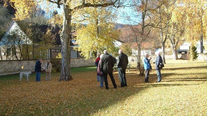 Wie geht es mit dem Oberhausener Friedhof weiter? Antworten darauf sucht die Lichtensteiner Gemeindeverwaltung gemeinsam mit den