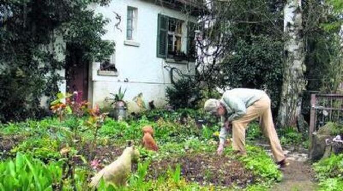 Selbst getöpfert, gesammelt oder aus Stein gehauen: In Ursel Keims Garten hat nicht nur viel Grün Platz. GEA-FOTO: OEL