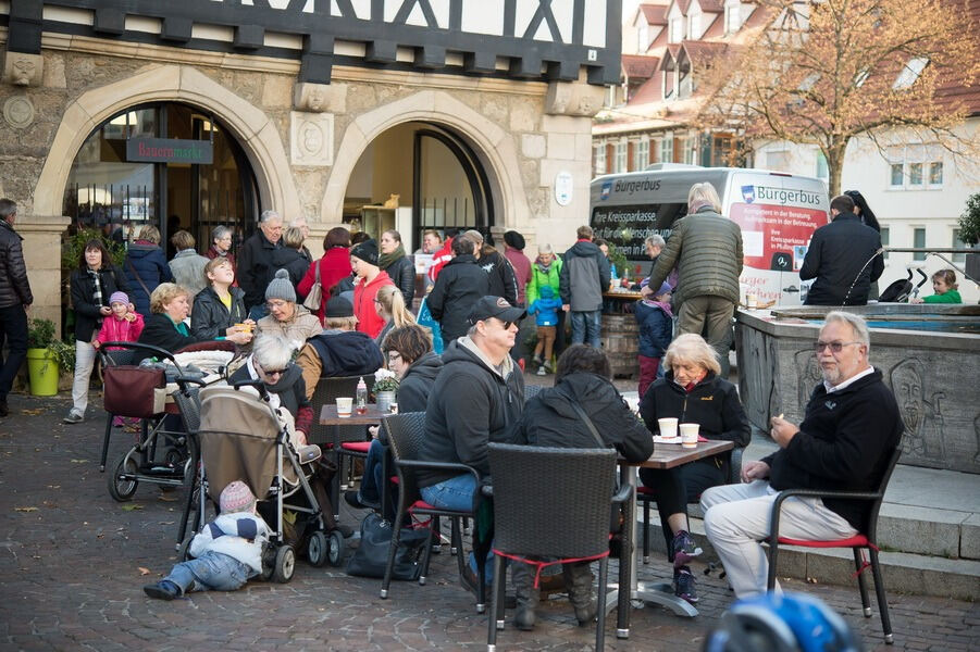 Pfullinger Wintermärchen 2015