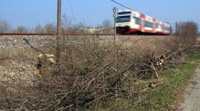 Die kärglichen Reste liegen noch herum: Am Bahndamm bei Nehren hat die Bahn radikal abgeholzt - mit einer Sondergenehmigung. GEA