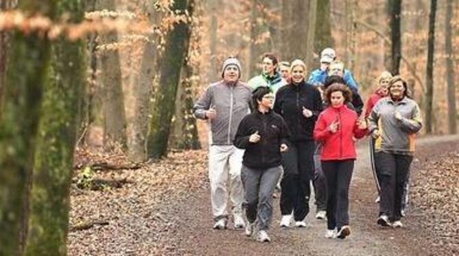 Gemeinsam läuft's am besten: Keinerlei Ermüdungserscheinungen bei der &raquo;Run up&laquo;-Einsteigergruppe im Wasenwald. FOTO: