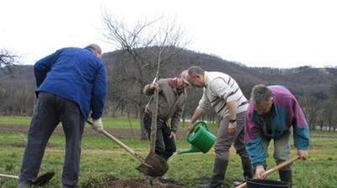 Ein Teil der Pfullinger Nabu-Gruppe bei ihrem Pflanzeinsatz in der Echazaue. GEA-FOTO: ESCH