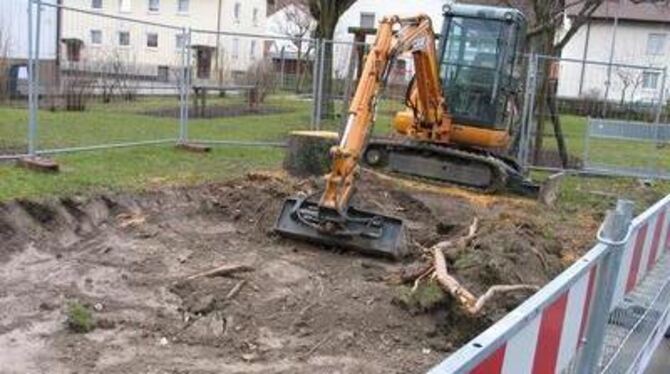 Kaum fällt der Baum, schon nagt der Bagger Parkplätze in den Boden. GEA-FOTO: BARAL