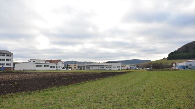 Viel freie Fläche für die Erweiterung des Gewerbegebiets »Schmiede«: Links im Bild die Gebäude Melchinger Straße 20 und 22, die