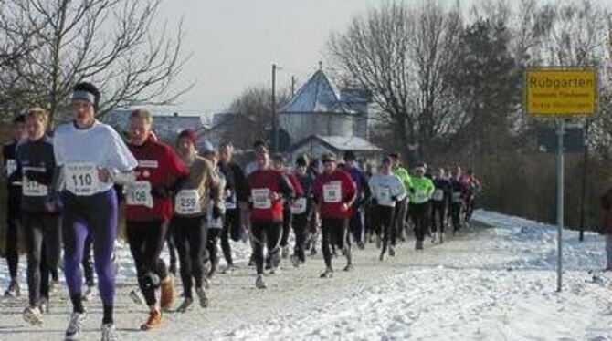 Läuferschlange am Schönbuchrand: Der Albgold-Winterlauf wird am Wochenende in Rübgarten seinem Namen alle Ehre machen. FOTO: WER