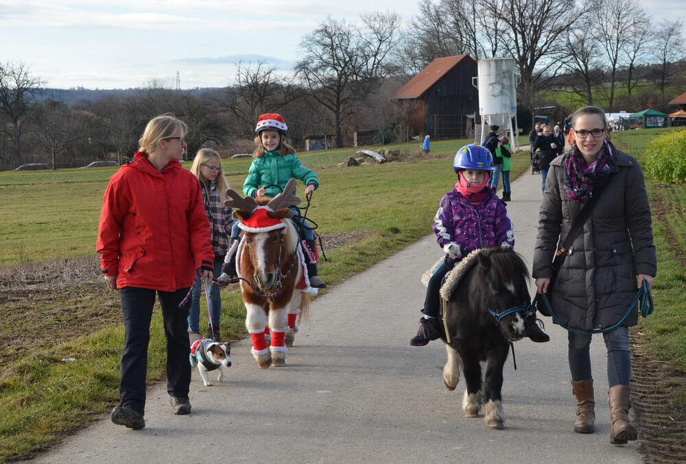 Christkendlesmarkt in Walddorfhäslach 2015