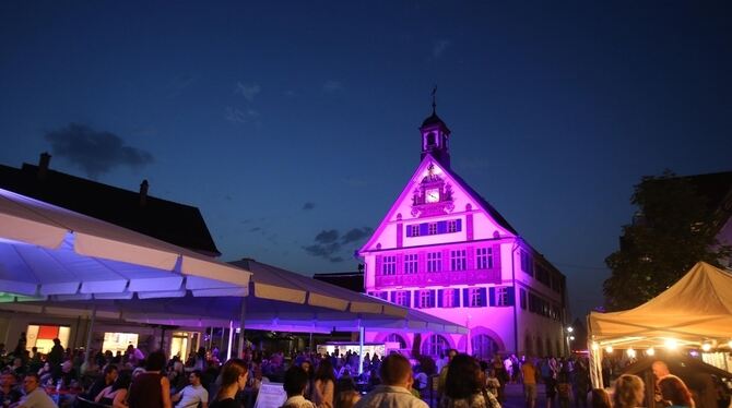 Lichtinstallationen gab es in Metzingen bisher vor allem bei langen Einkaufsnächten (im Bild das Alte Rathaus). Zumindest im Jah