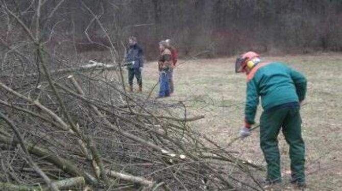 Naturschutz der zupackenden Art: Nabu-Mitglieder hatten wieder einen wichtigen Arbeitseinsatz. FOTO: LINSENBOLZ